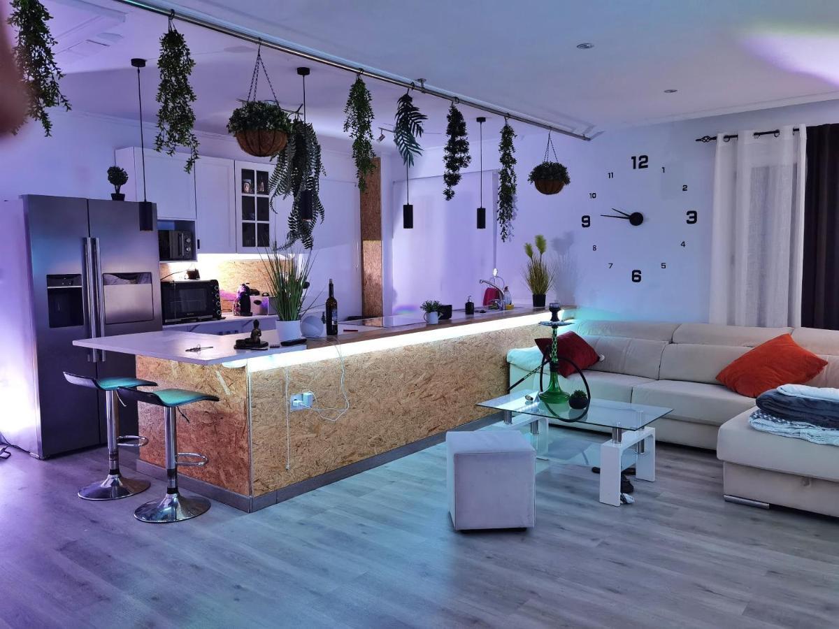 Stag Hendo25Pax Only 10Min To The Party Area Despedidas 25Pax 10 Min De La Zona De Fiesta Consultar Precio Benidorm Exteriör bild